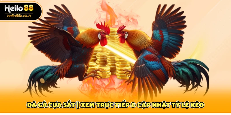 Đá gà cựa sắt