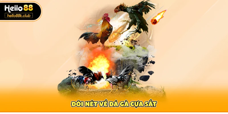 Đá Gà Cựa Sắt | Xem Trực Tiếp & Cập Nhật Tỷ Lệ Kèo 1 Đôi nét về đá gà cựa sắt