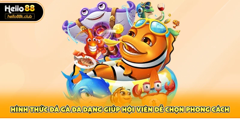 Hình thức đá gà đa dạng giúp hội viên dễ chọn phong cách