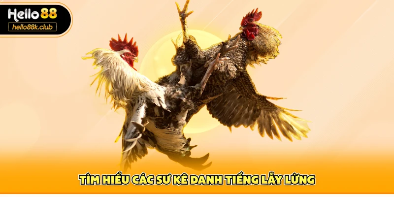 Đá Gà Cựa Sắt | Xem Trực Tiếp & Cập Nhật Tỷ Lệ Kèo 3 Tìm hiểu các sư kê danh tiếng lẫy lừng